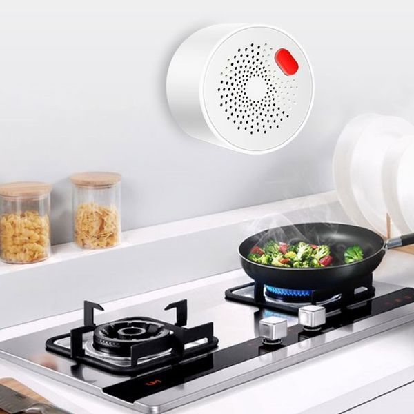 SMART Wi-Fi Датчик витоку газу в розетку Tuya sm-30661 фото