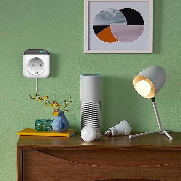 SMART Wi-Fi Розетка з виносним датчиком температури sm-30479 фото