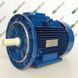 Електродвигун АІР 100 L4 (3-фази) | 4кВт 1500 об/хв air100l4 фото 3