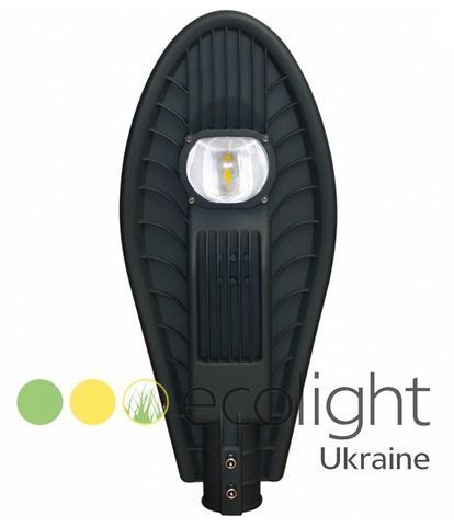 Вуличний світлодіодний світильник (LED) EcoWay 28Вт EL-ДКУ-15-028-0232-67Х фото