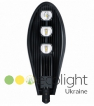 Уличный светодиодный светильник (LED) EcoWay 110Вт