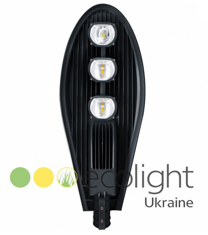 Вуличний світлодіодний світильник (LED) EcoWay 110Вт