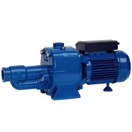 Самовсасывающий насос Speroni CA 150