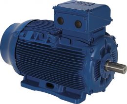 Электродвигатель WEG W22 100L 1,1 кВт 750 об/мин