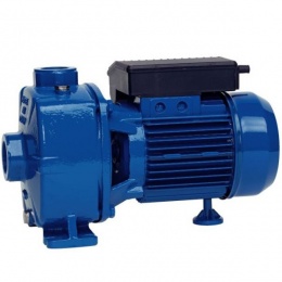 Центробежный насос Speroni NB 150/B