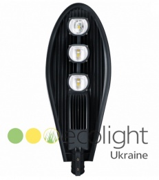 Уличный светодиодный светильник (LED) EcoWay 110Вт