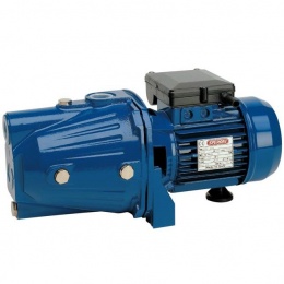 Самовсасывающий насос Speroni CA 202