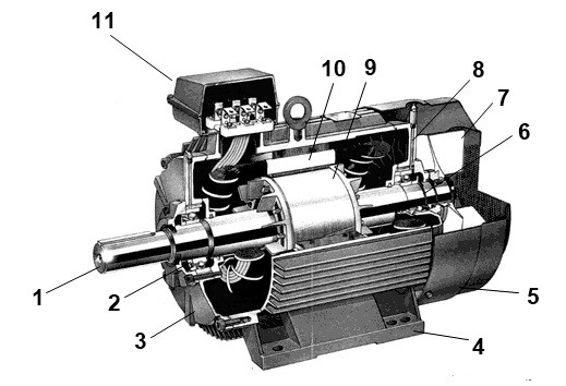 Конструкция асинхронного электродвигателя