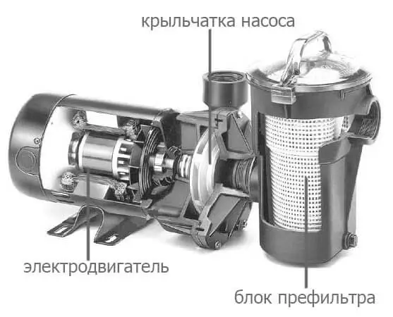 Конструкция насоса для бассейна с префильтром Конструкция насоса для бассейна с префильтром