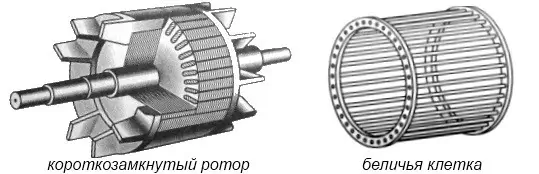 Ротор и клетка